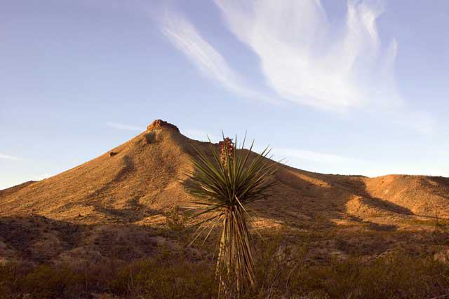 Visit Big Bend